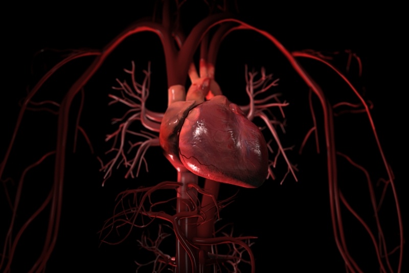 Healthcare_IT_can_reduce_hospitalizations_study_reveals2.jpg